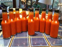 The Fermentation Files: How One Strain of Bacteria Quietly Shapes the Future of Hot Sauce