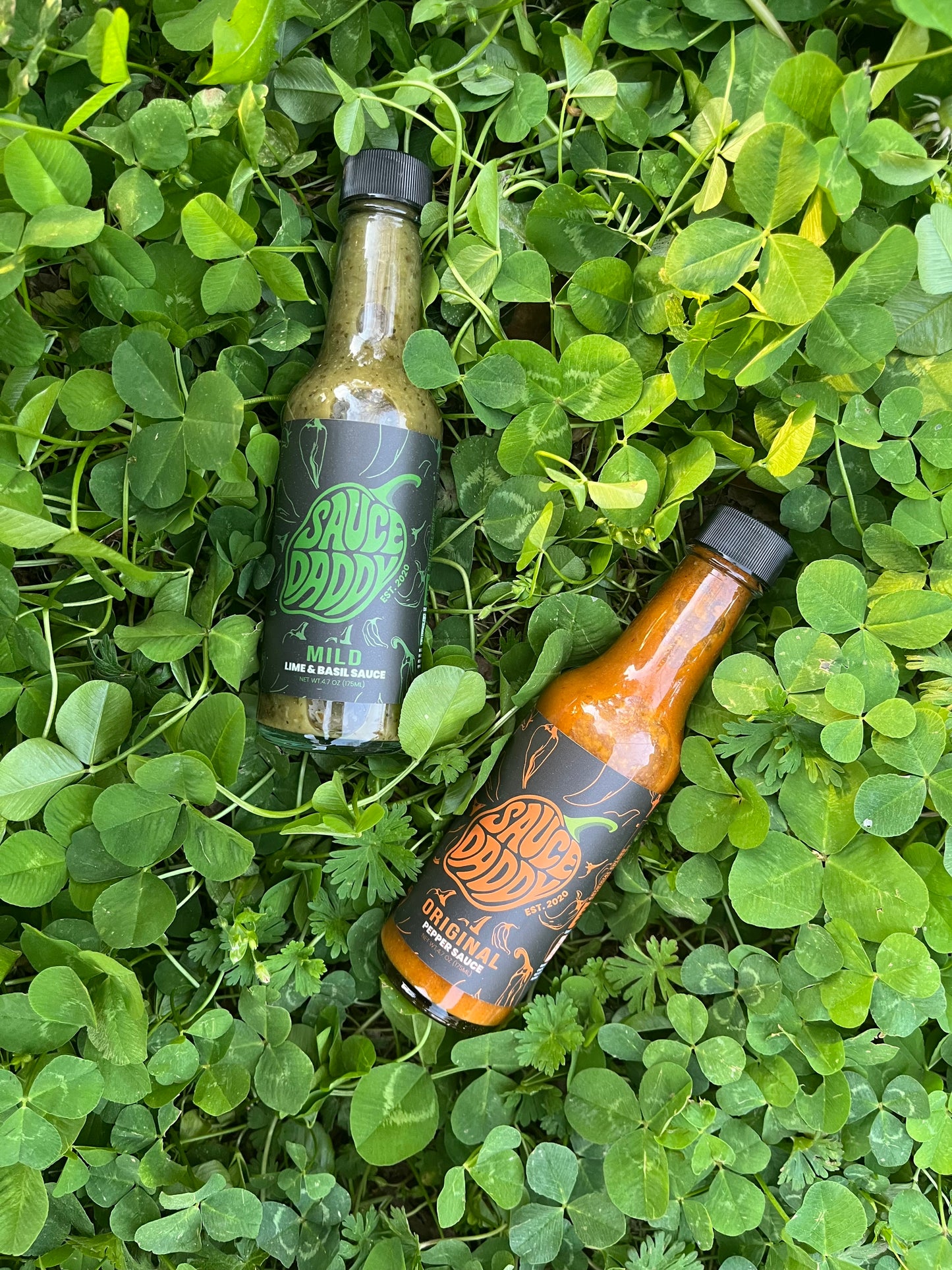 Two bottles of sauce daddy sauce on a bed of green leaves